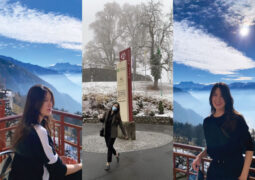 {{brizy_dc_image_alt entityId=