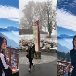 {{brizy_dc_image_alt entityId=