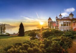 {{brizy_dc_image_alt entityId=