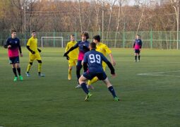 {{brizy_dc_image_alt entityId=